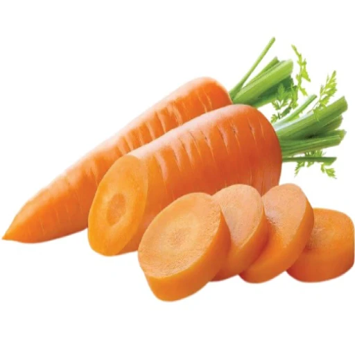 Carrot (Gajor) China Bulk